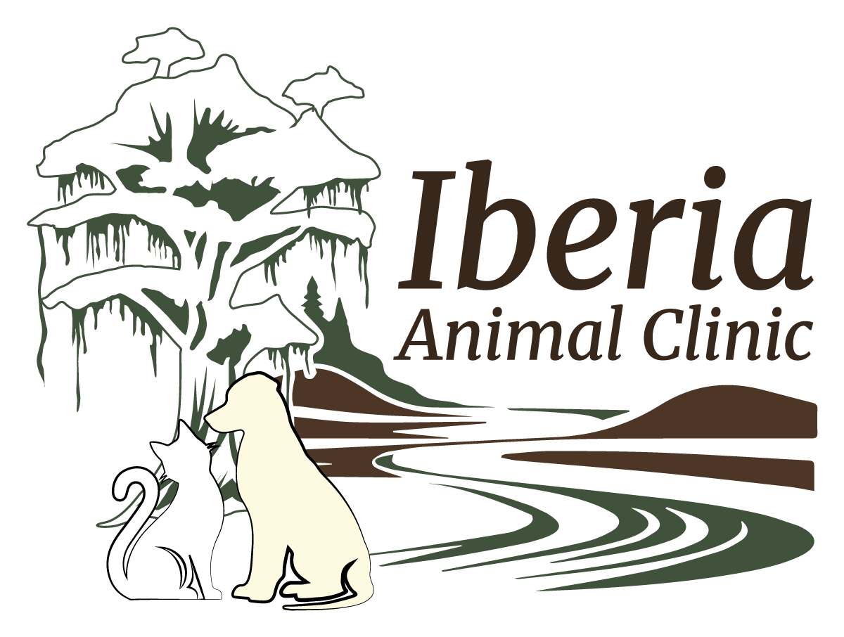 Iberia-Animal-Clinic