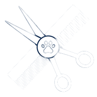 Small Dog Grooming